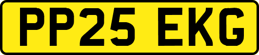 PP25EKG