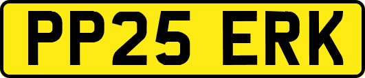 PP25ERK