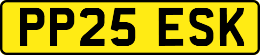 PP25ESK