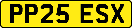 PP25ESX