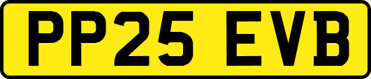 PP25EVB