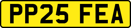 PP25FEA