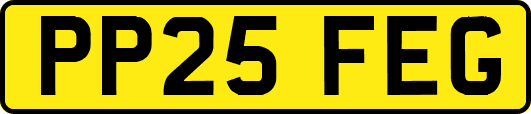 PP25FEG