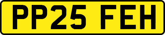 PP25FEH
