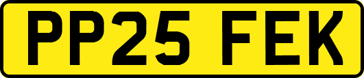 PP25FEK