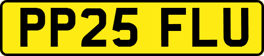 PP25FLU