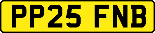 PP25FNB