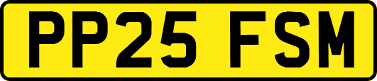 PP25FSM