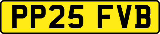PP25FVB