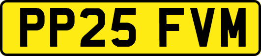PP25FVM