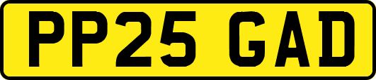 PP25GAD