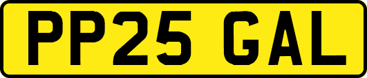 PP25GAL