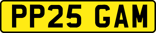 PP25GAM