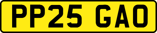 PP25GAO