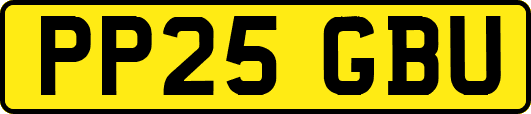 PP25GBU