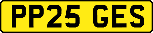 PP25GES