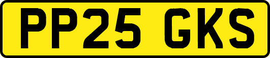 PP25GKS