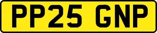 PP25GNP