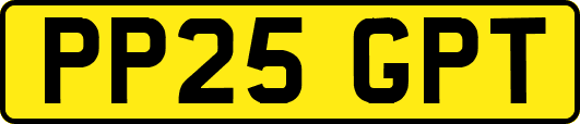 PP25GPT