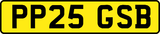 PP25GSB