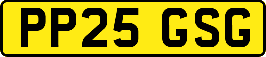 PP25GSG