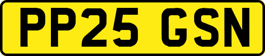 PP25GSN