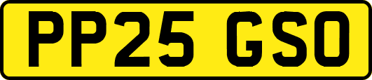 PP25GSO