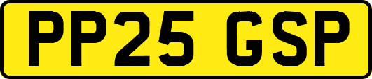 PP25GSP