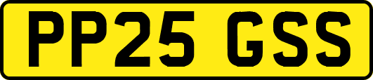 PP25GSS