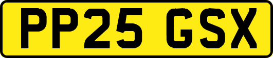 PP25GSX