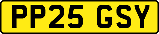 PP25GSY