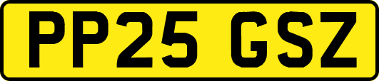 PP25GSZ