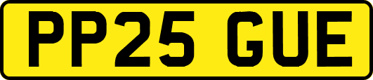 PP25GUE