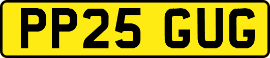 PP25GUG
