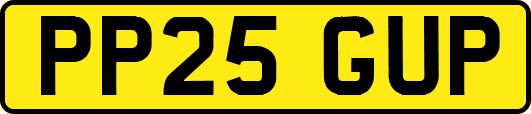 PP25GUP