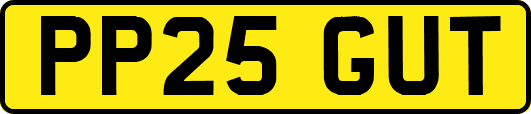 PP25GUT