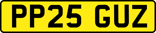 PP25GUZ
