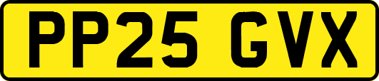 PP25GVX