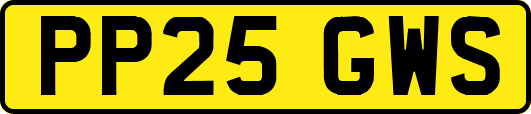 PP25GWS