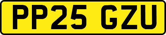 PP25GZU