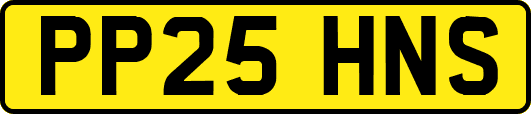 PP25HNS