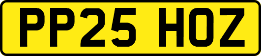 PP25HOZ