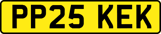 PP25KEK