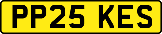 PP25KES