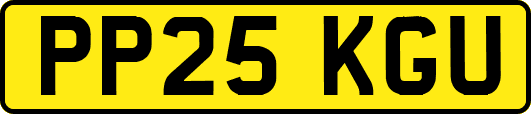 PP25KGU