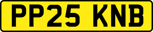 PP25KNB