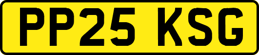 PP25KSG