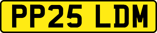 PP25LDM