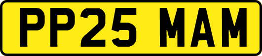 PP25MAM