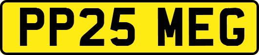 PP25MEG